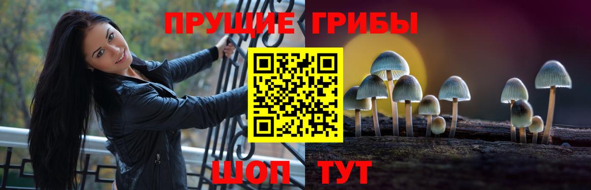 Галлюциногенные грибы мухоморы Бузулук